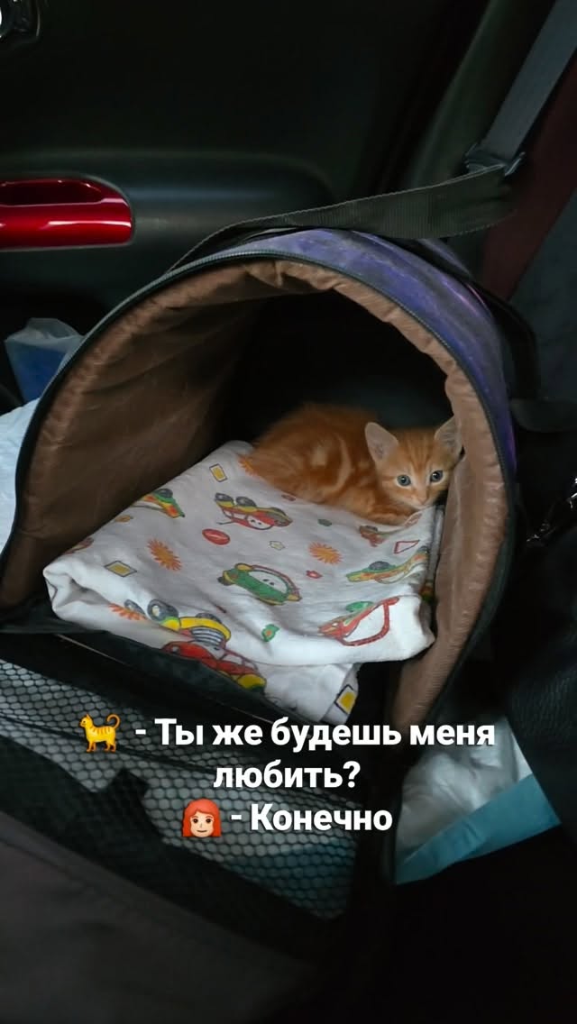 Рилс @katti_denisenko