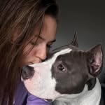 kraft_amstaff