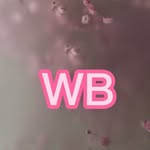 wb_obzorr__