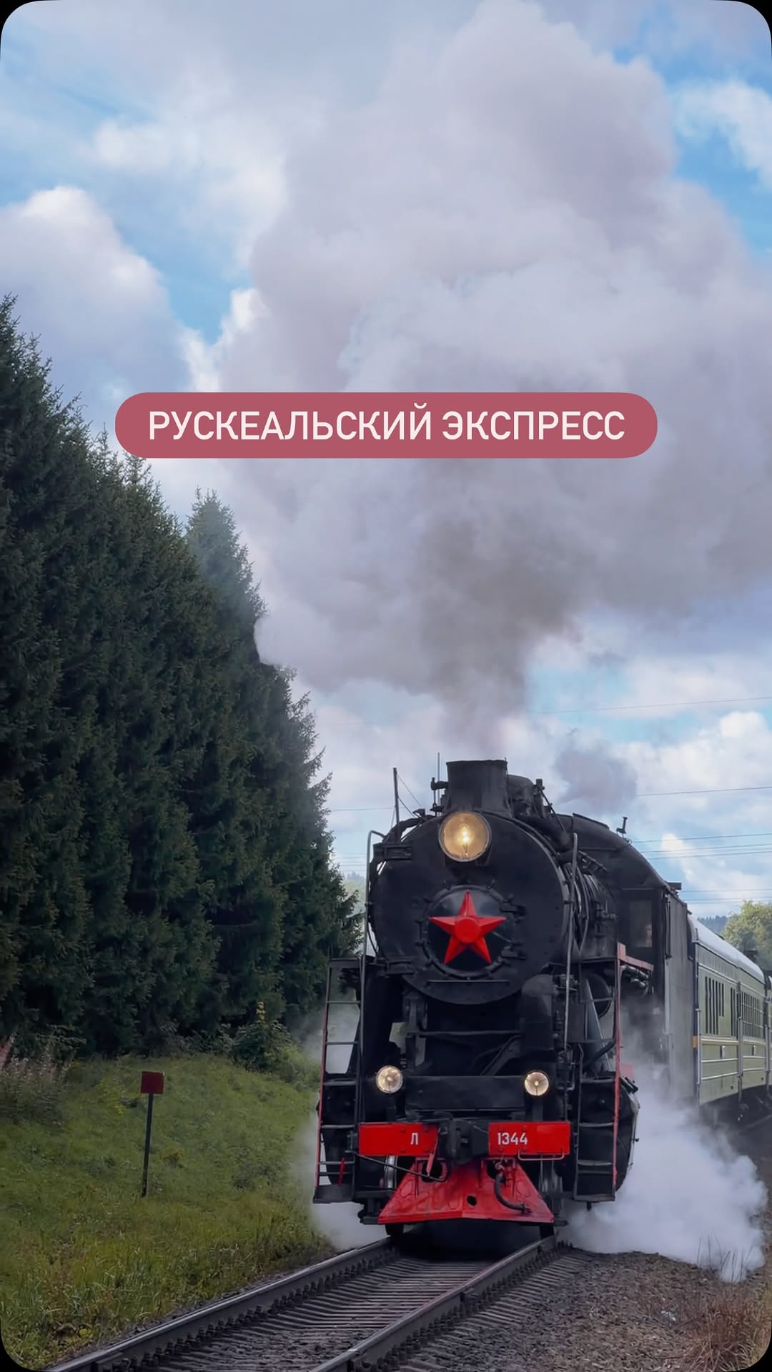 Рилс @mazurevanasta