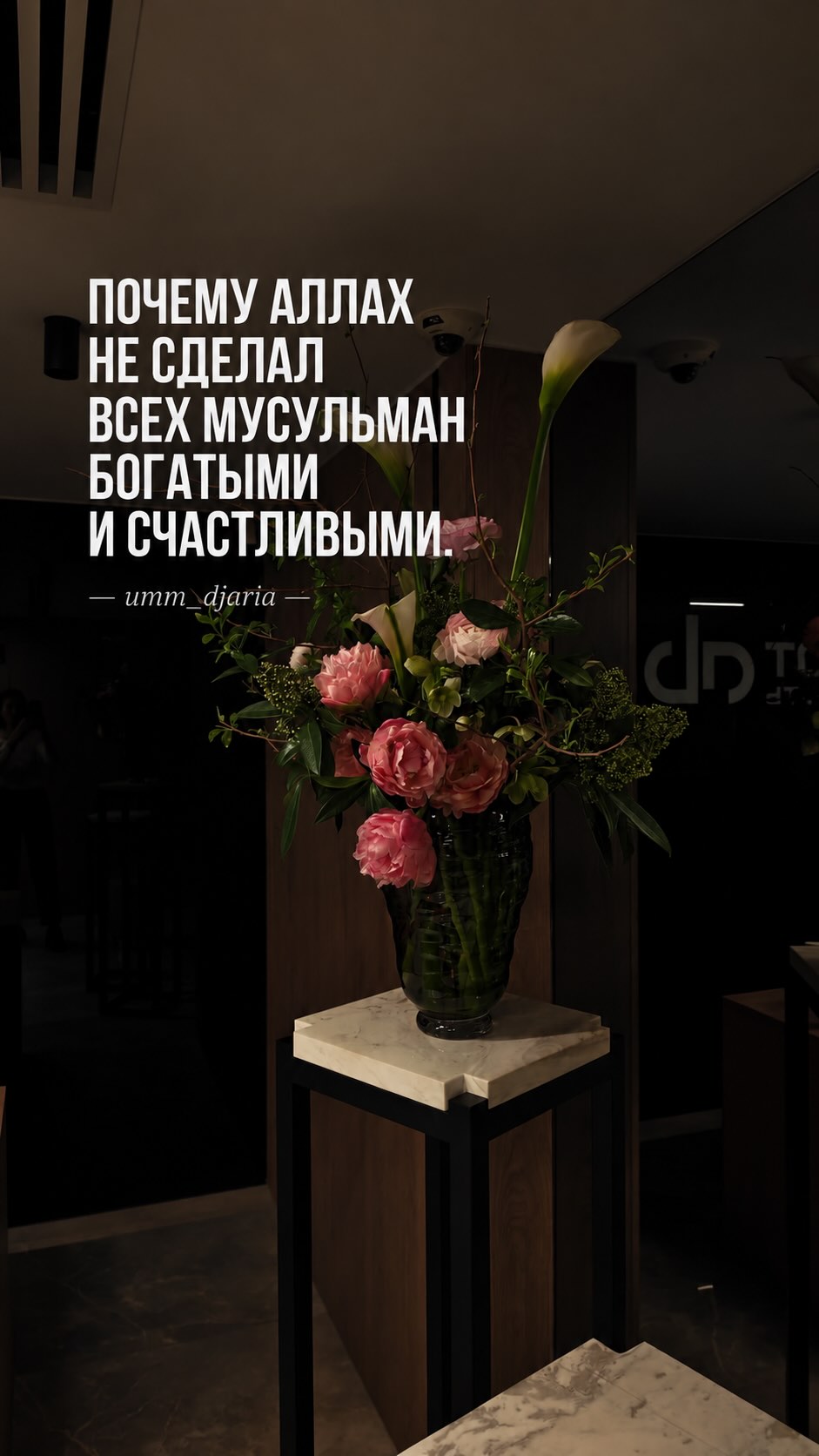 Рилс @umm_djaria