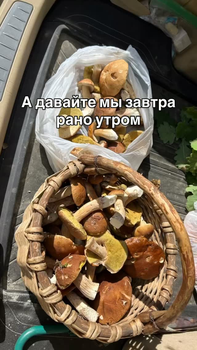 Рилс @milakapi