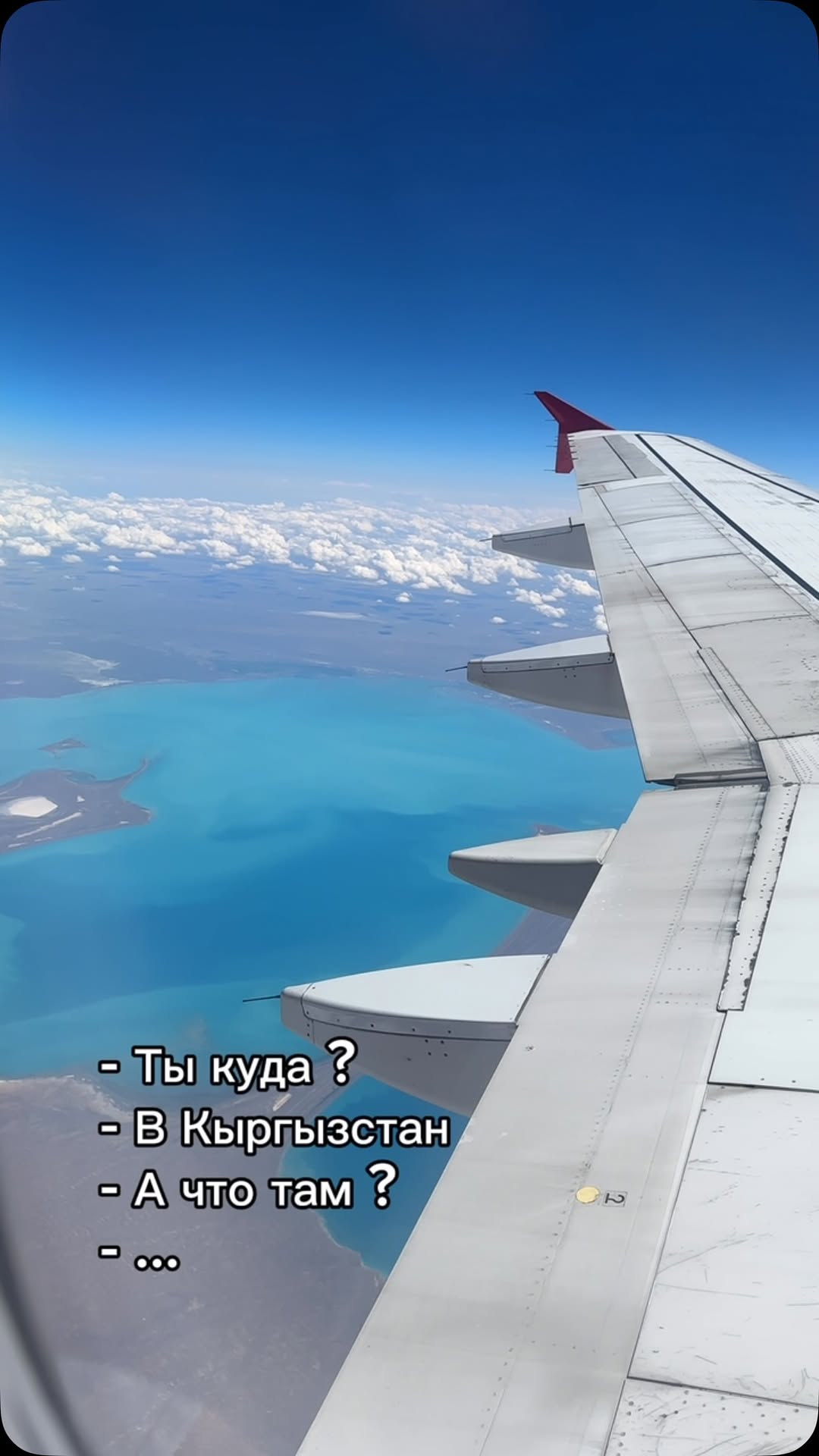 Рилс @katekirillova