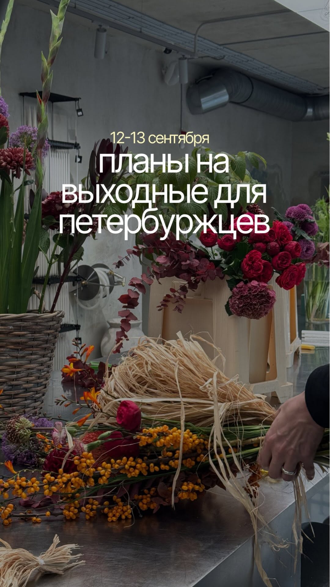 Рилс @alina_chikovaa