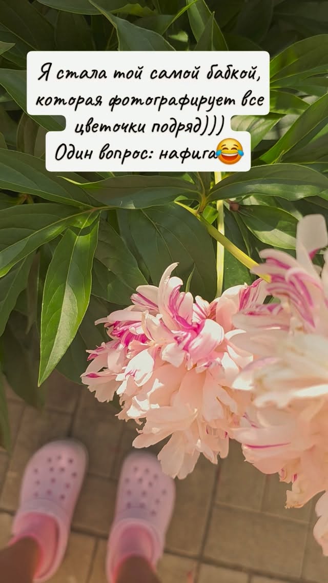 Рилс @asyaa_stasyaa