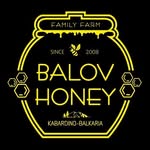 alim_balov07