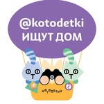 kotodetki_ischut_dom