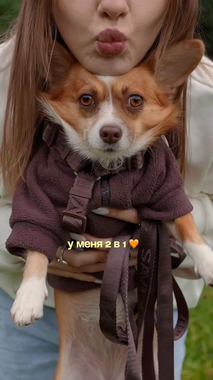 Рилс @lasashinda