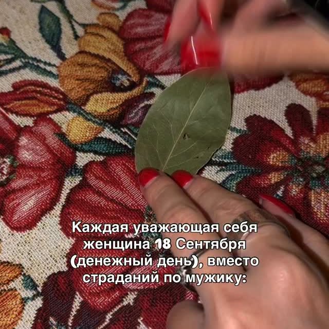 Рилс @tvoya.vedmochka