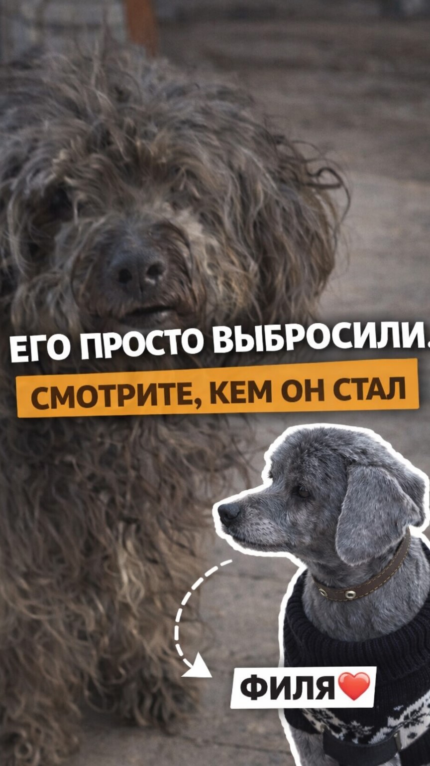 Рилс @albina_bash