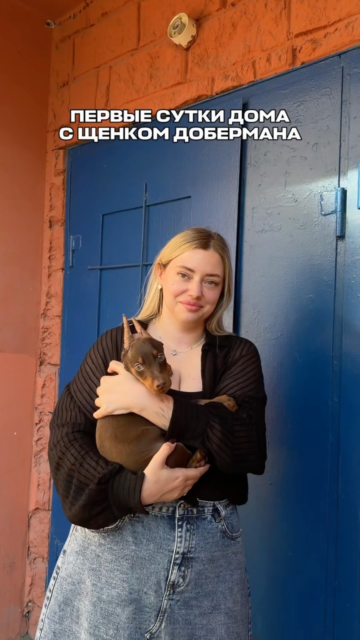 Рилс @dsafonovaa