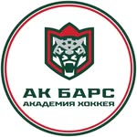 akbars.academy