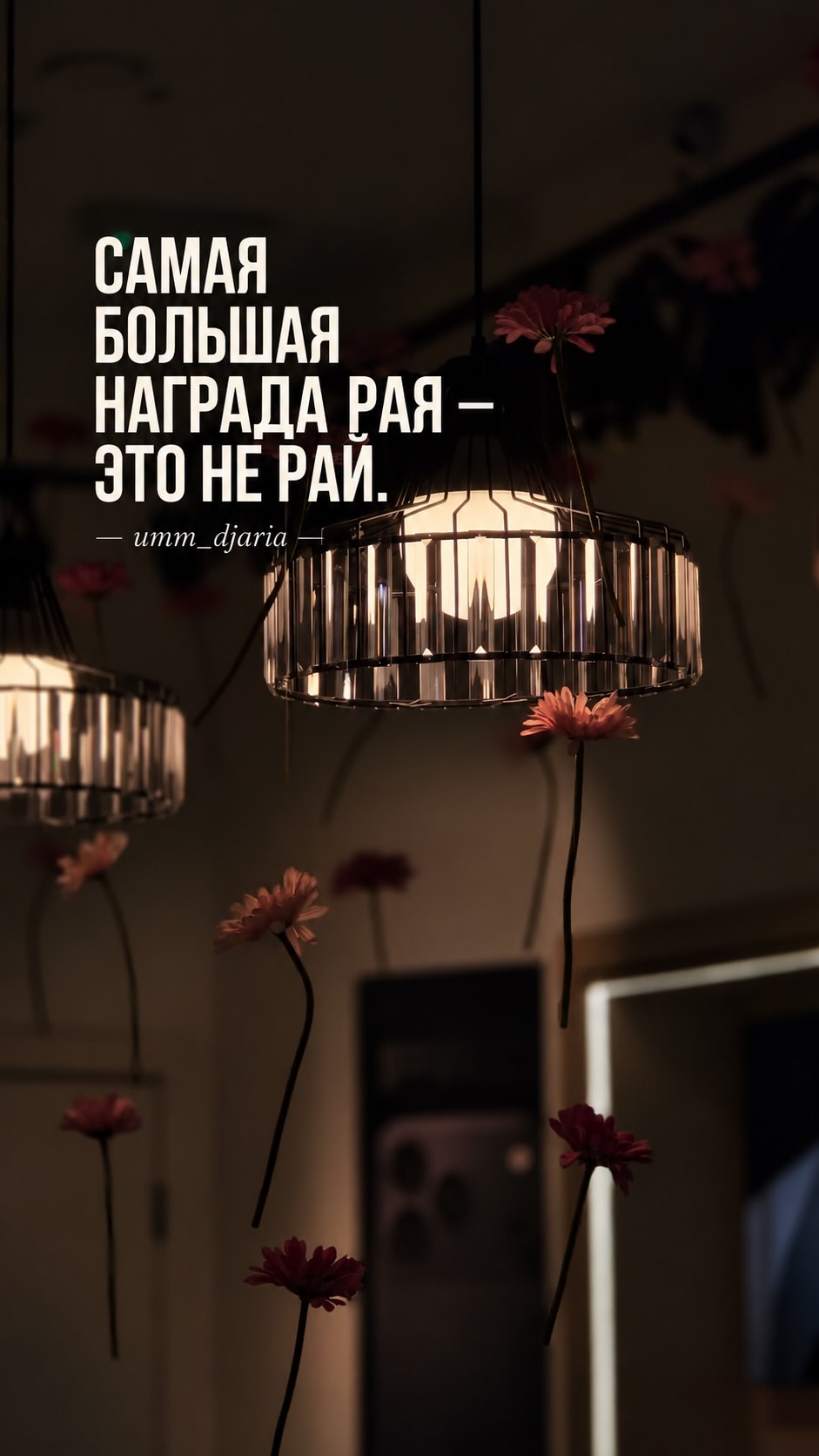 Рилс @umm_djaria