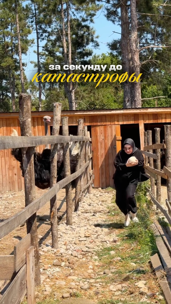 Рилс @seda.foodblogger