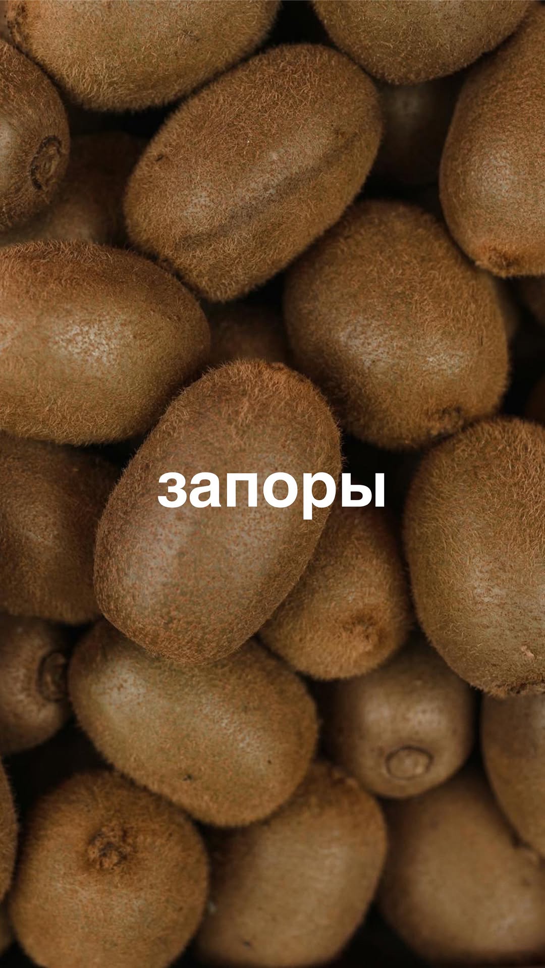 Рилс @avocadosasha