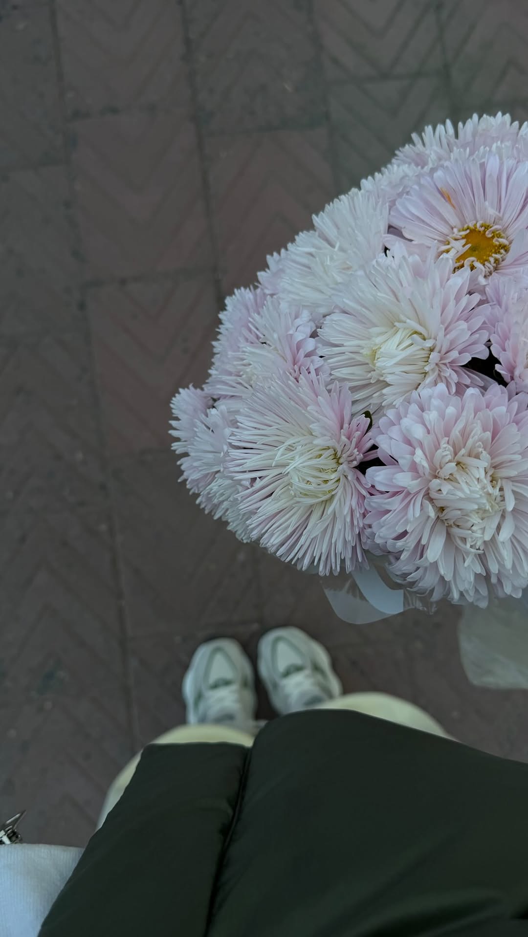 Рилс @nikabrow.life