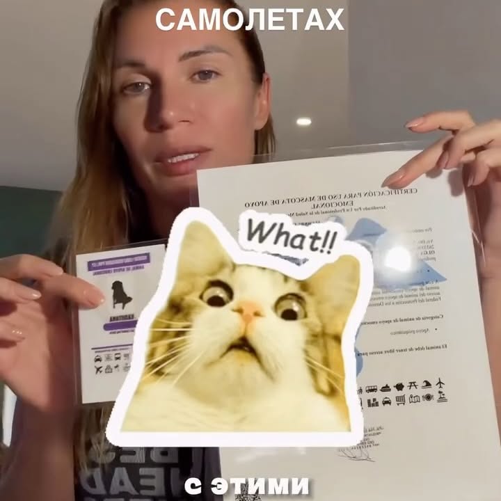 Рилс @ta.woman