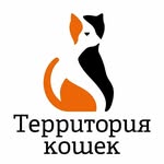 the_cats_territory_kaluga