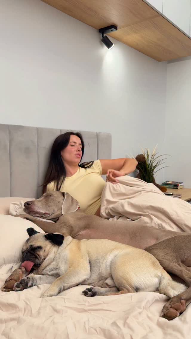 Рилс @hoootdogs
