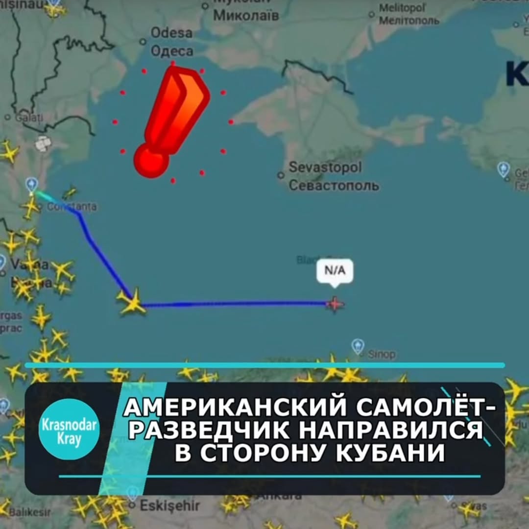 Рилс @tipich___krd