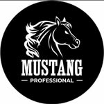 mustangprofessional