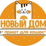 newdomcat