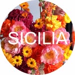 siciliaflowers