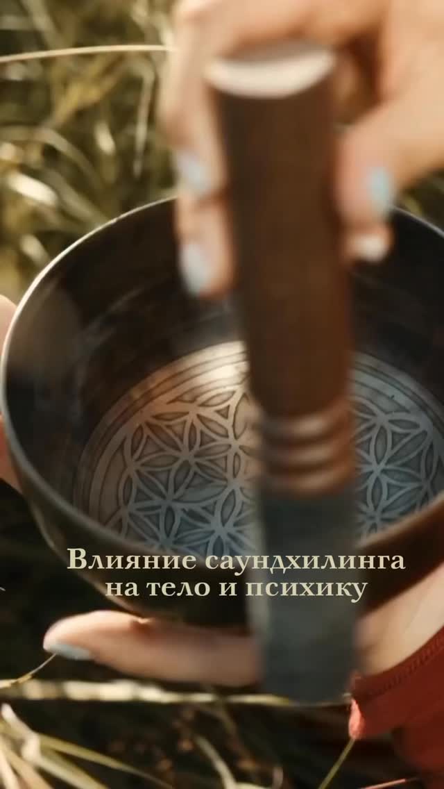 Рилс @amrita_sochi