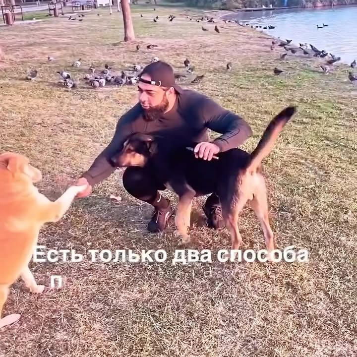 Рилс @rodion_abramov