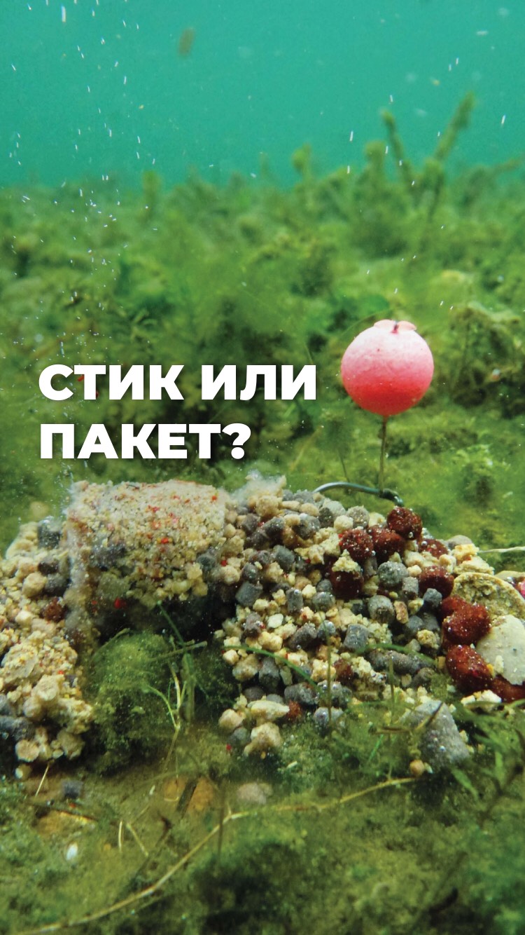 Рилс @madfisherscom
