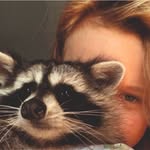 valeria_raccoonssoul