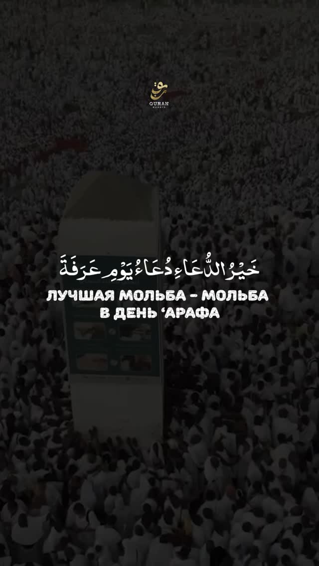 Рилс @quran_nashid