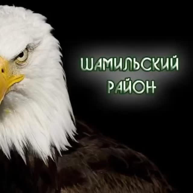 Рилс @muslim_gasanoff