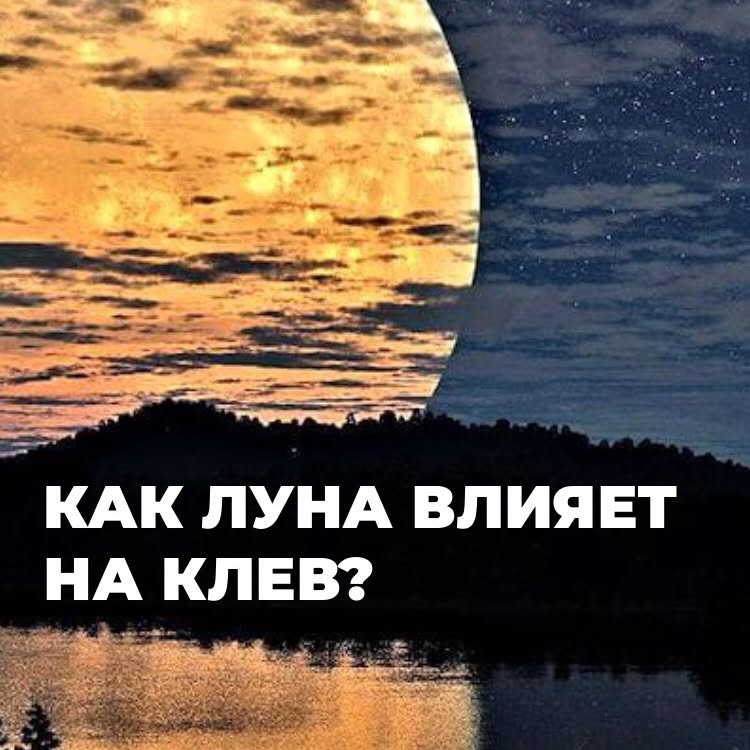Рилс @madfisherscom