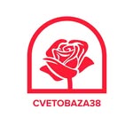 cvetobaza38