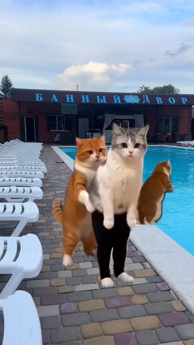 Рилс @banniy_dvor_azov