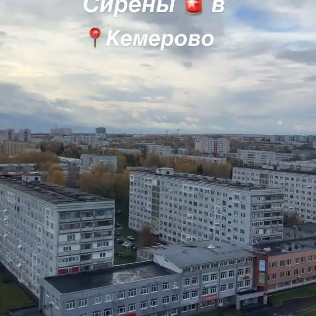 Рилс @nastya_revizzorro