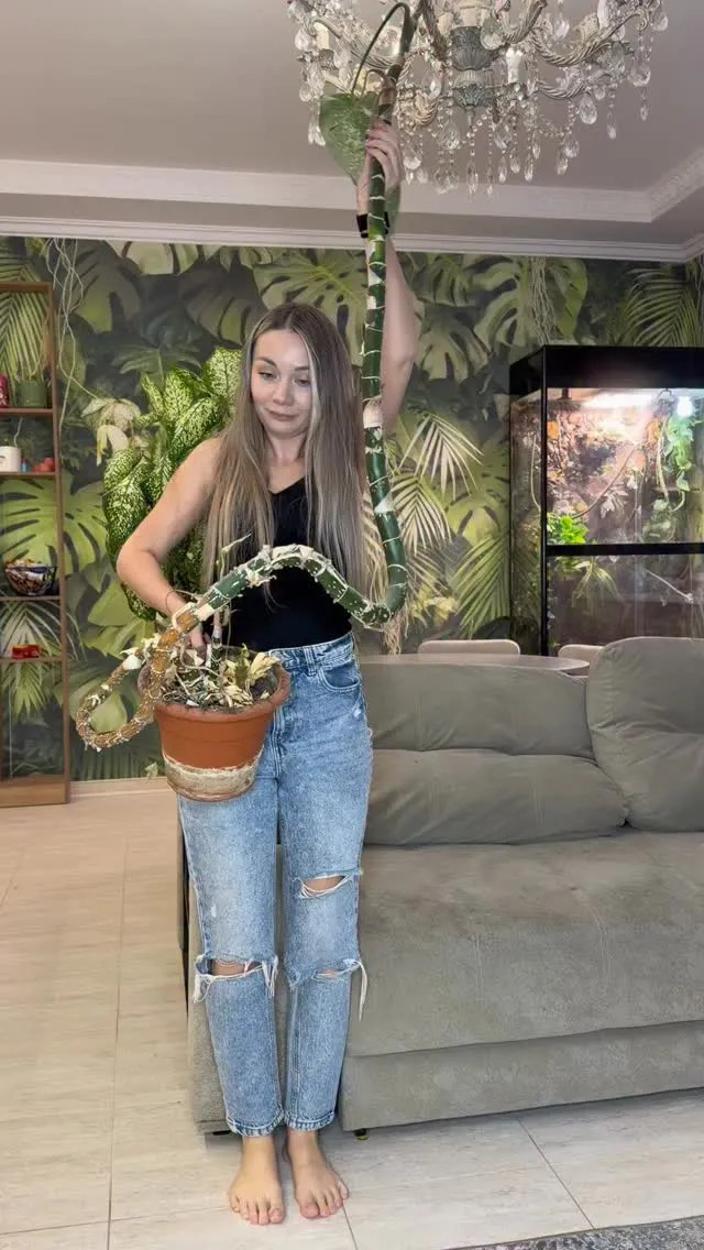 Рилс @garden_greeeen