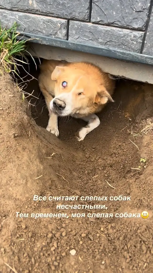Рилс @va_lera82