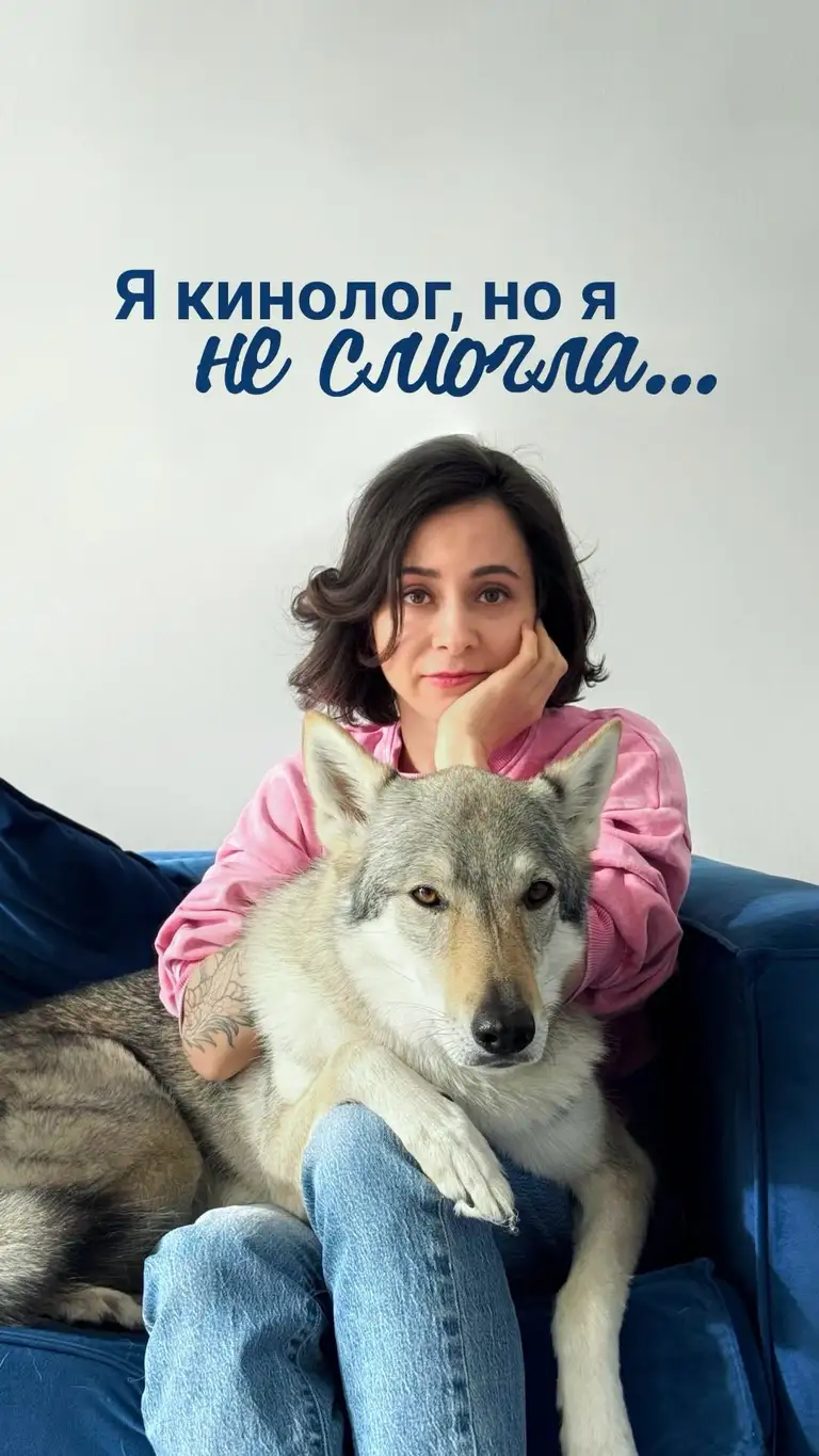 Рилс @wolf.and.the.city