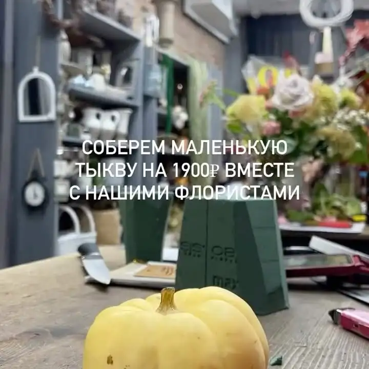 Рилс @shelli_holl