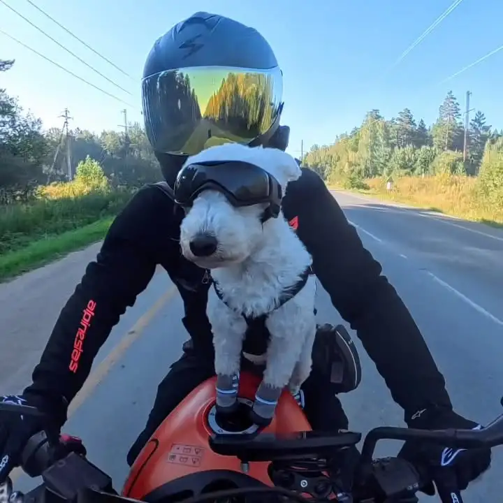 Рилс @vadim__filinnn__