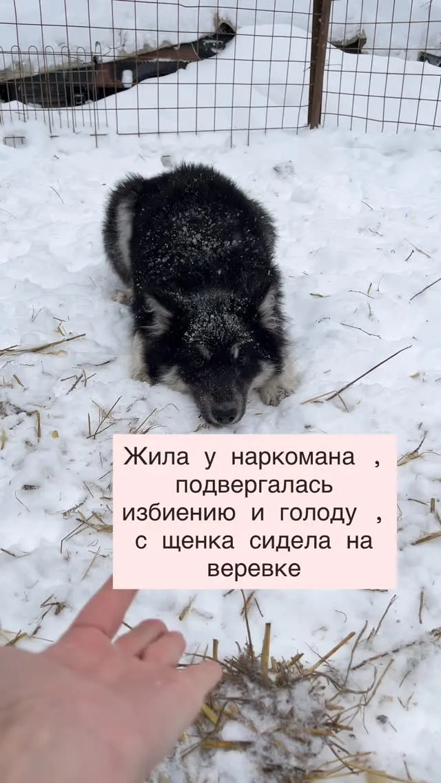 Рилс @gav4you