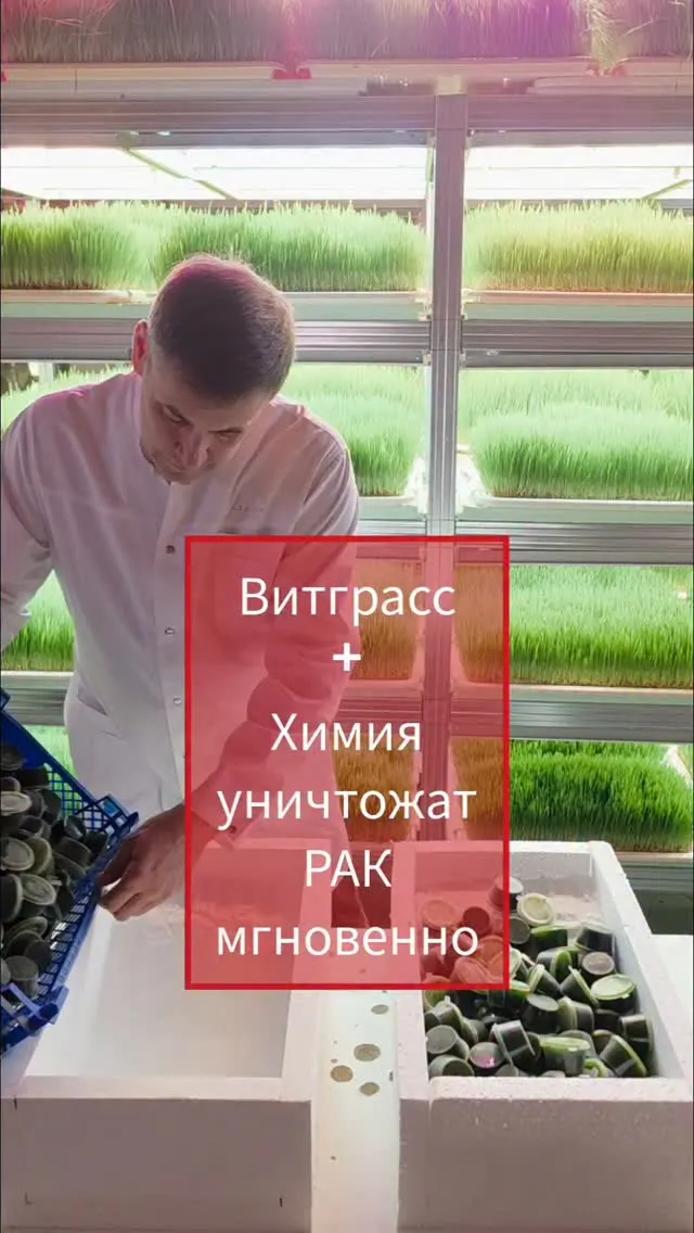 Рилс @microzelen_31