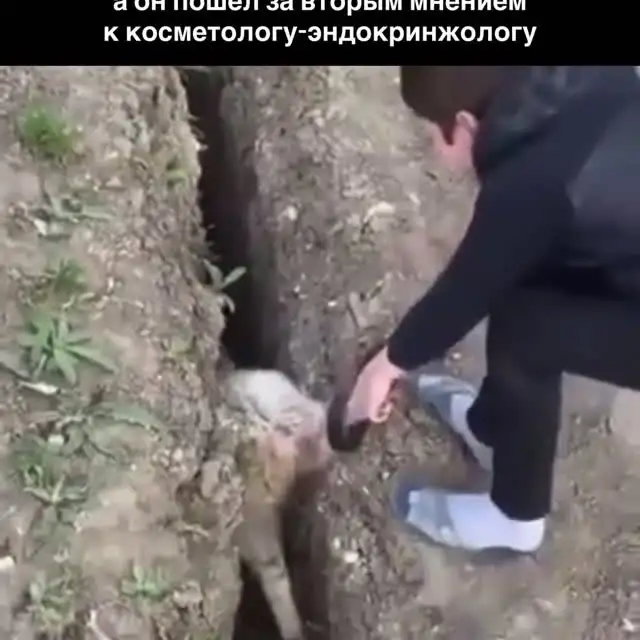 Рилс @fun_with_medicine