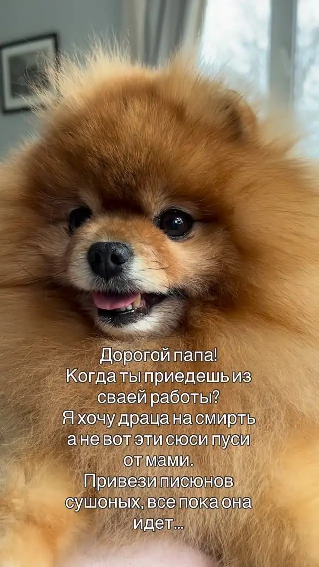 Рилс @alicaoborovskaya