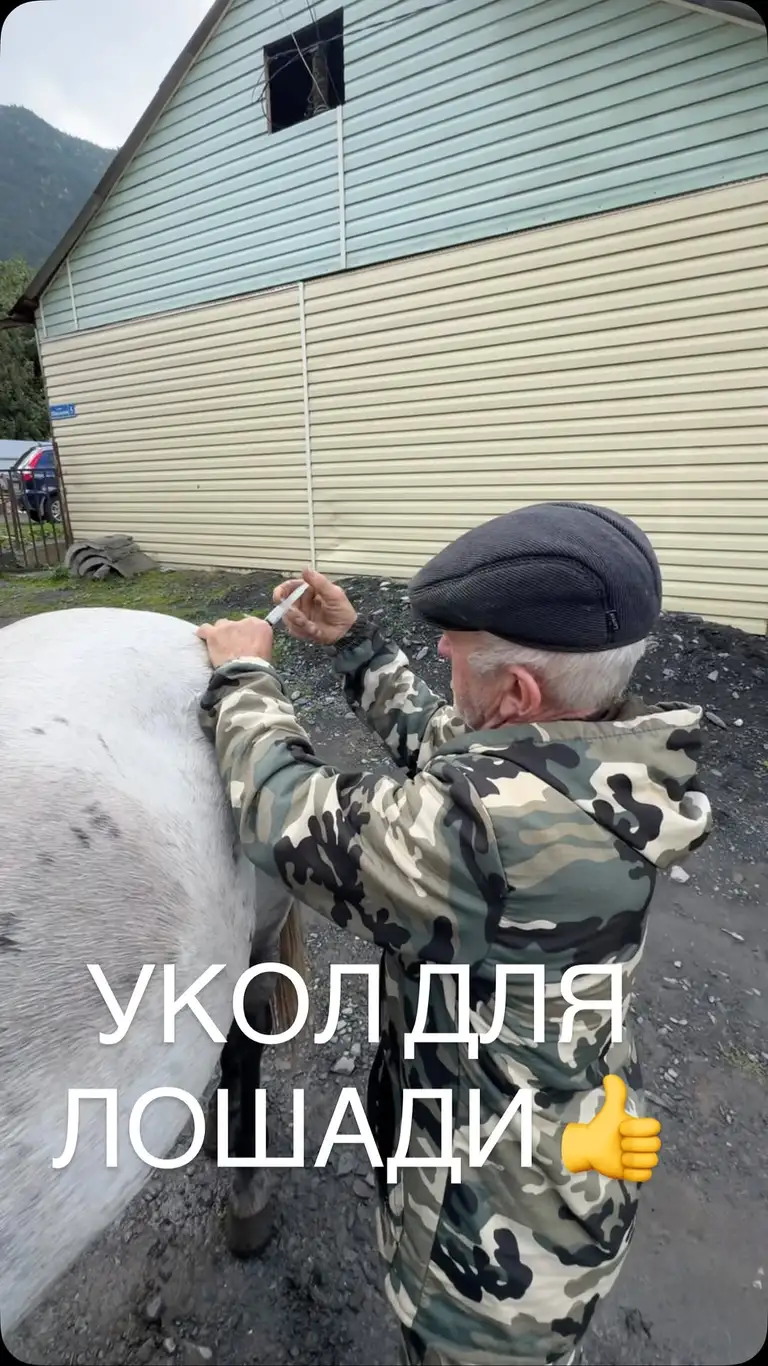Рилс @un.isaa