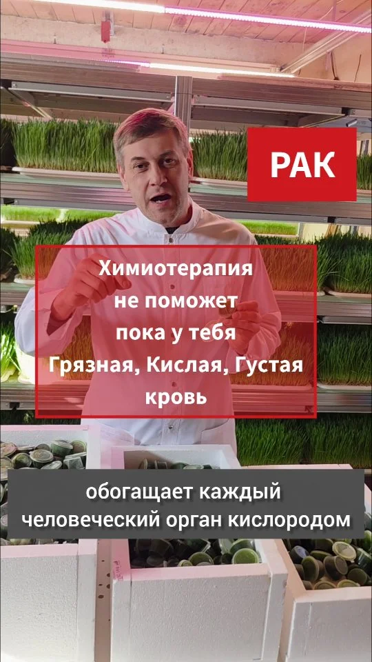 Рилс @microzelen_31