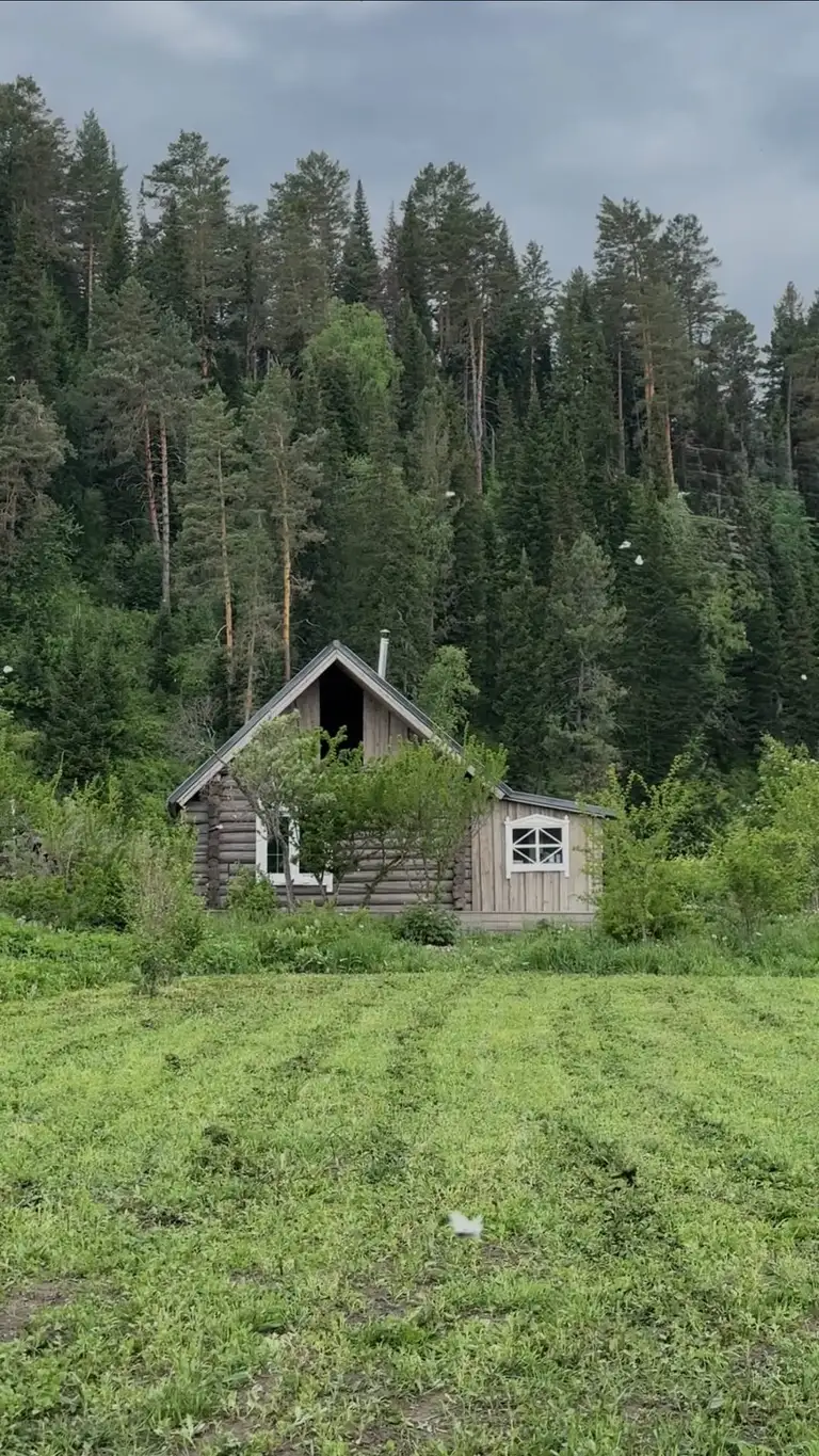 Рилс @alinabalashova