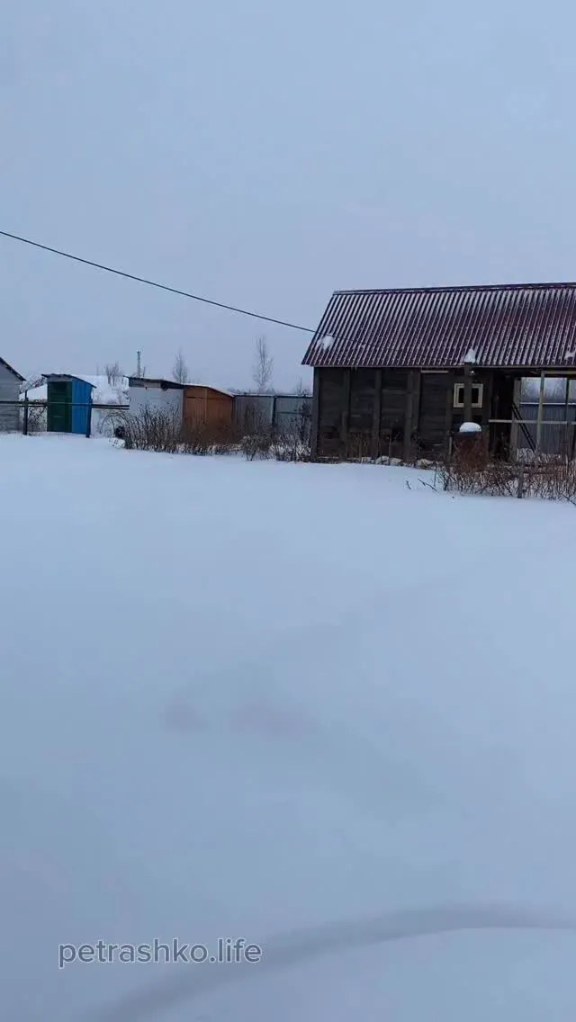 Рилс @petrashko.life